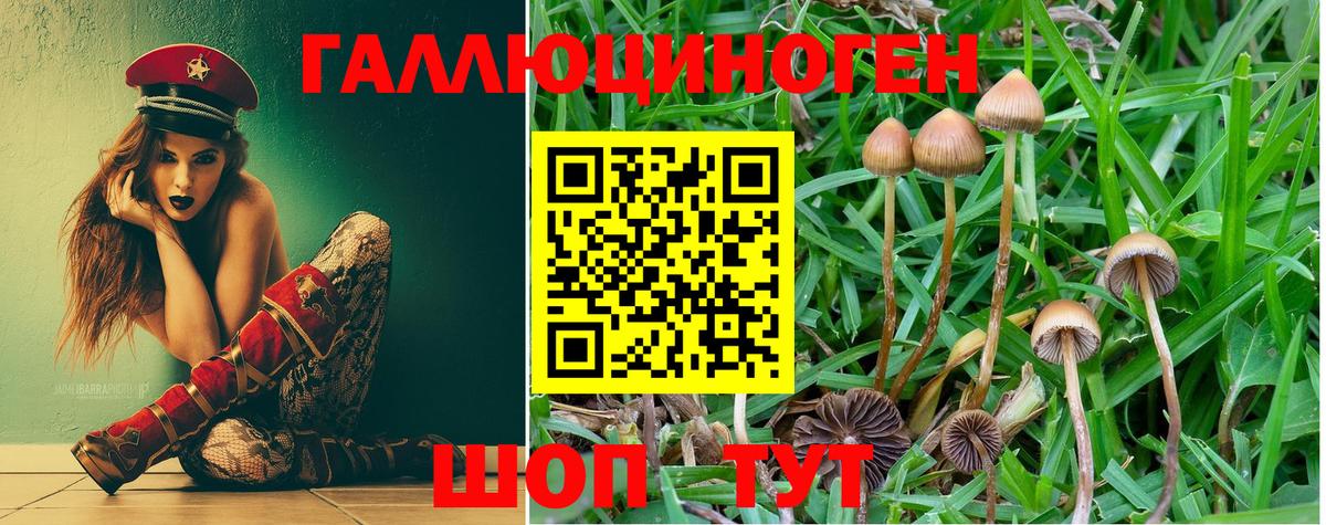 Галлюциногенные грибы MAGIC MUSHROOMS Тольятти
