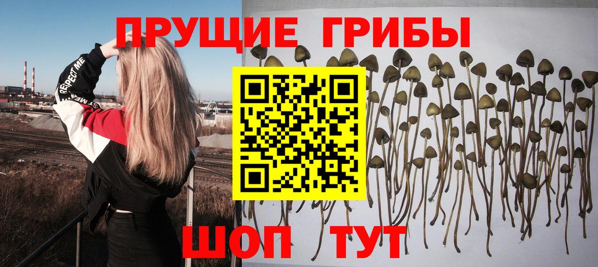 Псилоцибиновые грибы прущие грибы  Вход с VPN  Тольятти 